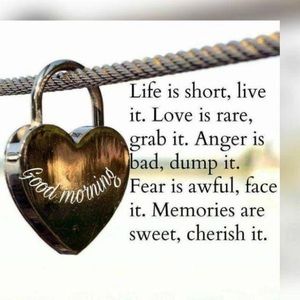 Meet your Posher, Tashaya